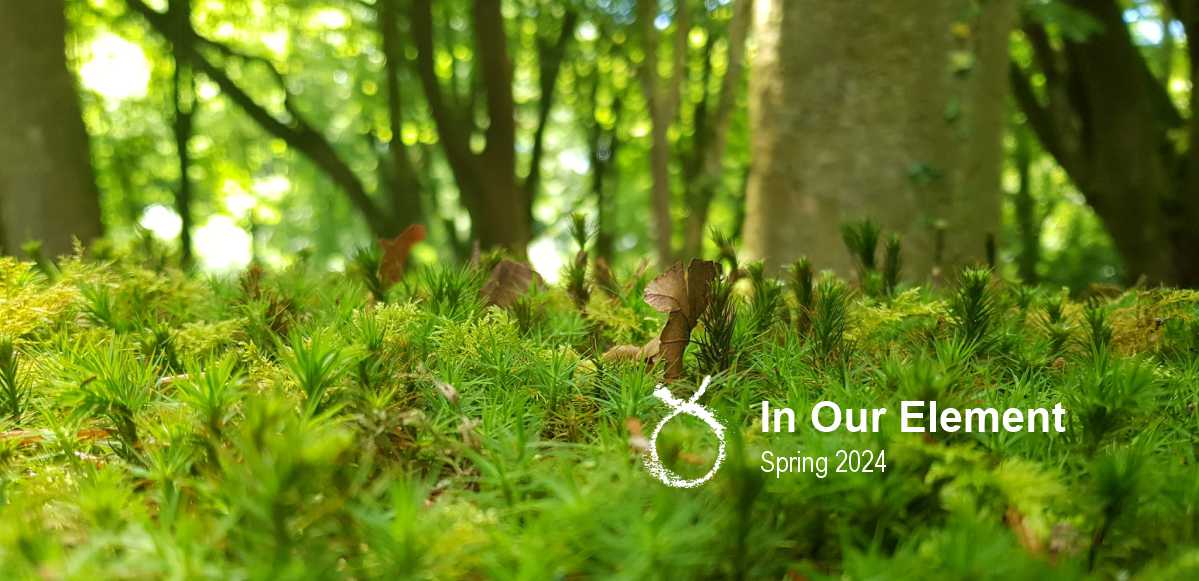 In Our Element Course. Course details "A quest for personal and planetary well-being.